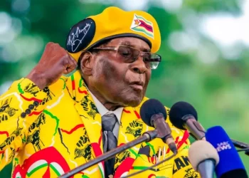 زيمبابوي: ما الذي تغيّر بعد روبرت موغابي؟