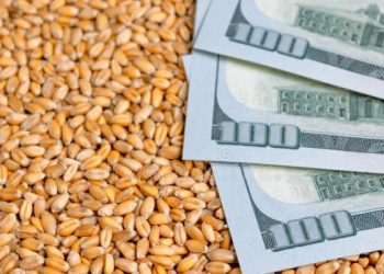 عين على إفريقيا (22-23 مايو 2022م) الموجة التالية: من سيطعم إفريقيا؟