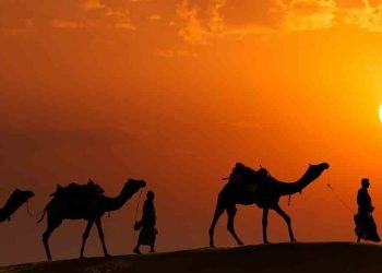 السفارات المتبادلة بين دولة مالي والدولة المرينية وأثرها على العلاقات بين الدولتين