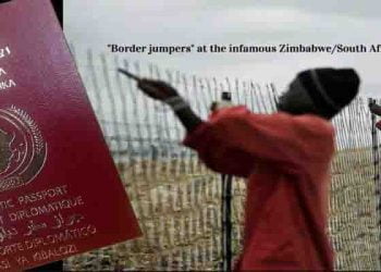 أفريقيا بلا حدود : إذاً هل تريد جواز السفر الإلكتروني الإفريقي الموحد ؟