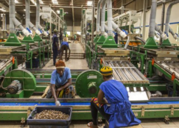 الصناعة في افريقيا .. مشروع ذو أولوية
