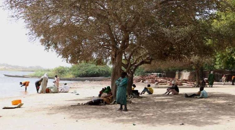 منطقة حوض بحيرة تشاد ودورها في نشر الثقافة الإسلامية والعربية