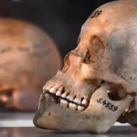 حيثيات ما قبل اعتراف ألمانيا بارتكاب الإبادة الجماعية في ناميبيا