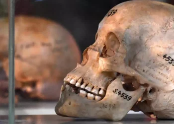 حيثيات ما قبل اعتراف ألمانيا بارتكاب الإبادة الجماعية في ناميبيا