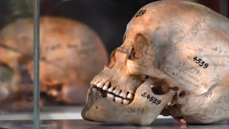 حيثيات ما قبل اعتراف ألمانيا بارتكاب الإبادة الجماعية في ناميبيا