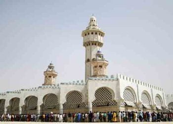 قراءة للمشهد الإسلامي في السنغال