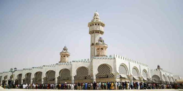 قراءة للمشهد الإسلامي في السنغال