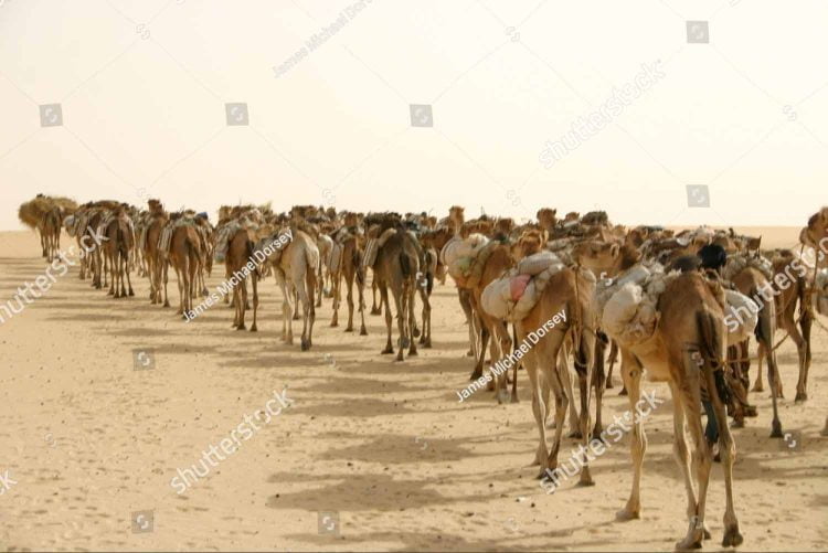 الصحراء الإفريقية والتجارة الصحراوية بعيون المؤرخ الفرنسي ( ريموند موني )