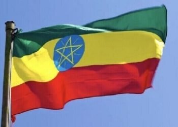 المتحدث باسم جيش تحرير أورومو لـ”قراءات إفريقية”: لا مستقبل لإثيوبيا موحدة طالما بقي آبي أحمد