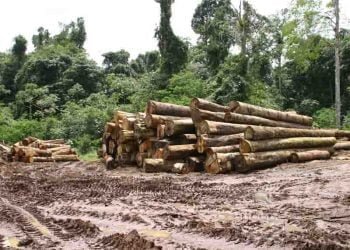 ثروات إفريقيا الطبيعة سبب معاناتها..!!