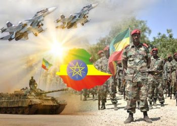 عين على إفريقيا (5-9 نوفمبر 2020) مخاطر تصاعد الصراع في إثيوبيا: دليل للأزمة