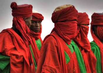 دور القبيلة في إفريقيا