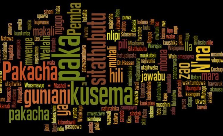 “أفرقة” اللغة الرسميَّة في منطقة “الجماعة الإنمائية للجنوب الإفريقي” الفرص والتحديات