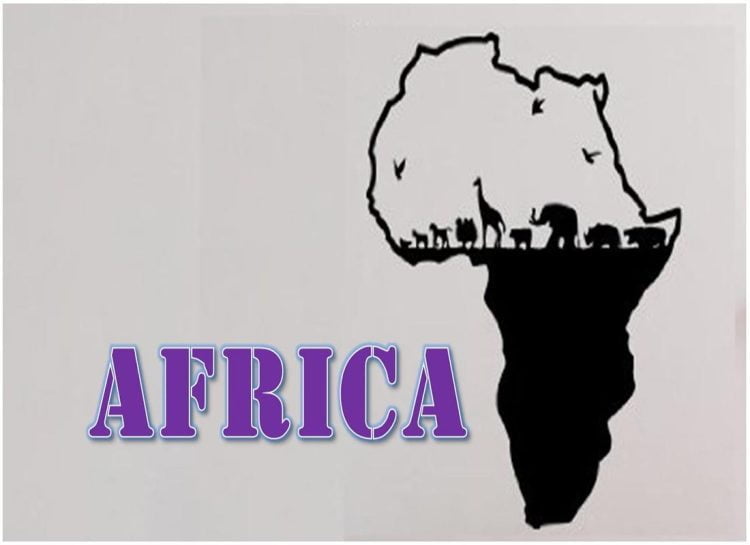 إشكالية اللغة في آداب ما بعد الاستعمار في القارة الإفريقية