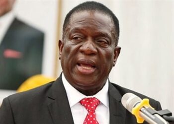 رئيس زيمبابوي “إيمرسون منانجاجوا ”