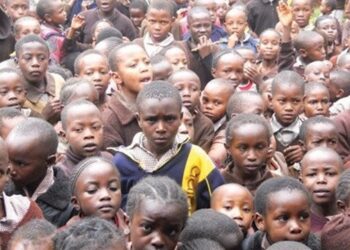 المحددات الديمغرافية للإنفاق العام في إفريقيا