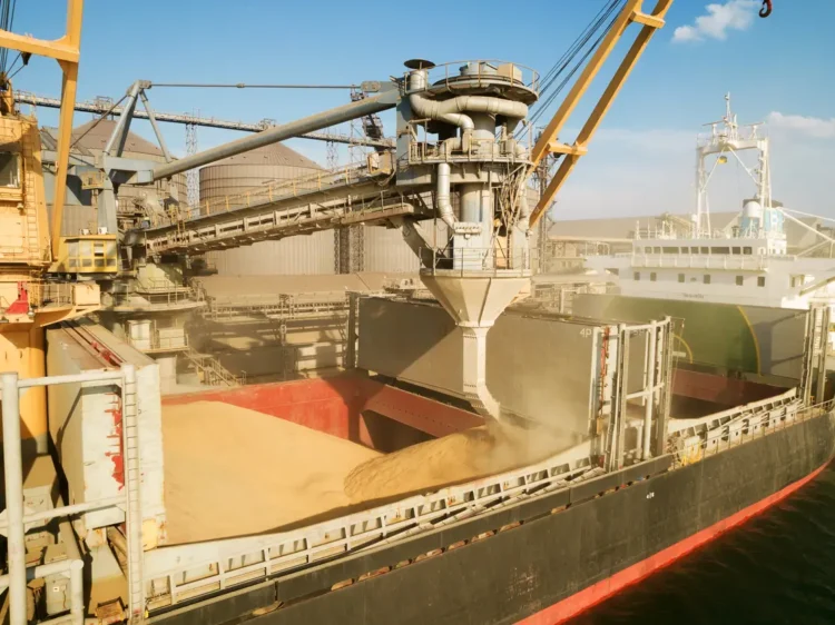 مسؤول أمريكي يناقش صادرات الحبوب والأمن في زيارة لكينيا والصومال