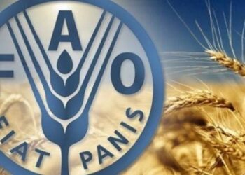 نزوح 2.7 مليون شخص بسبب موجة الجفاف بالقرن الإفريقي