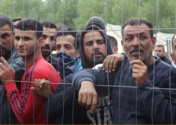 تونس تنقل مئات المهاجرين الأفارقة إلى منطقة حدودية صحراوية