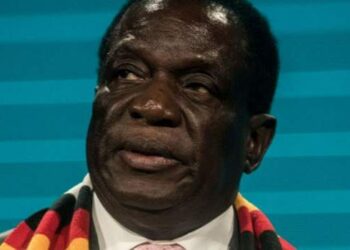 رئيس زيمبابوي يوافق على قانون وطني مثير للجدل