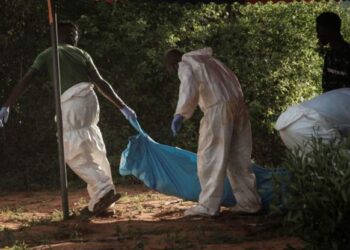 كينيا تصف مقتل 360 شخصا من اتباع “ماكينزي” بـ أسوأ خرق أمني