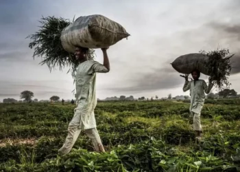 الرئيس النيجيري يعلن حالة الطوارئ لمواجهة ارتفاع أسعار المواد الغذائية