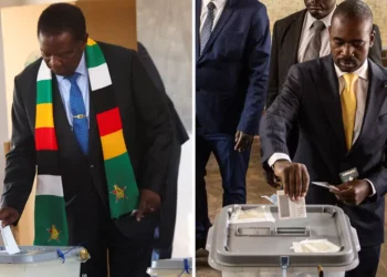 زيمبابوي تحدد يومًا إضافيًا للتصويت في مناطق مختارة