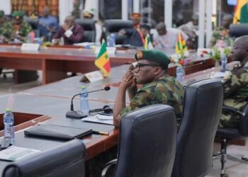 إيكواس…وضرورة تجاوز استخدام القوة في النيجر