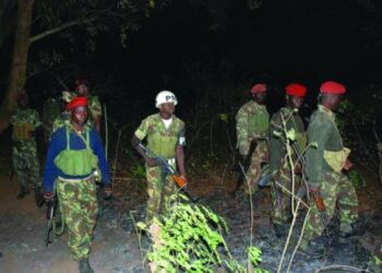 الجهود الإقليمية لحل أزمة التمرد شمال موزمبيق