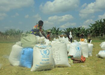 تحذير من “كارثة إنسانية واسعة النطاق” في الكونغو الديمقراطية
