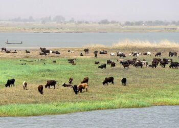 تجارب التعاون المائي في منظمة حوض نهر النيجر