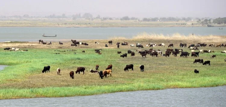 تجارب التعاون المائي في منظمة حوض نهر النيجر