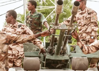 حركة “فاكت” تعود لحمل السلاح ضد الجيش  التشادي