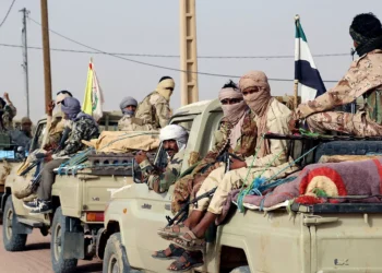 مسلحون من شمال مالي