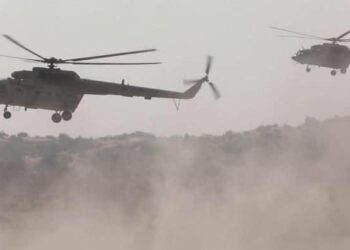 قوات بوركينا فاسو تنضم إلى غارة على مسلحين في النيجر