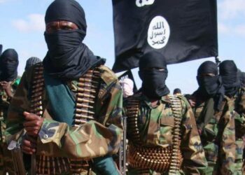 ولاية ميناكا: هل بات تنظيم داعش على بُعْد خطوة من إعلان دولته في إفريقيا؟