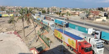 جنوب إفريقيا تتواصل مع “حماس” وتبحث توصيل المساعدات الإنسانية إلى فلسطين