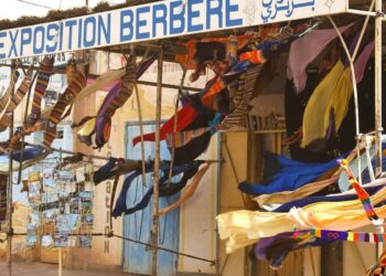 ملامح السياسة الخارجية الألمانية..إفريقيا “كُلٌّ” أم “جزءٌ”؟!