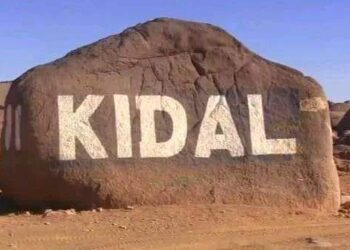 مقتل 12 مدنيًا في هجمات بطائرات بدون طيار في كيدال شمال مالي