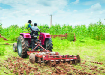 عين على إفريقيا (30 نوفمبر- 3 ديسمبر 2023م): إفريقيا حائرة بين فاتورة غذائها واستعادة سيادتها على مواردها