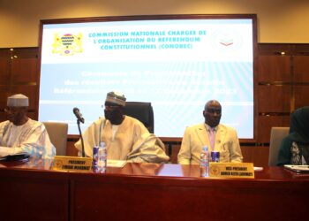 التشاديون يوافقون على دستور جديد والمعارضة تحتج