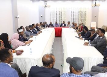 أعضاء في البرلمان الصومالي يحذرون من تعديل الدستور