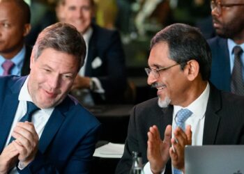 كيف تنخرط الشركات الألمانية اقتصاديًّا في الأسواق الإفريقية؟