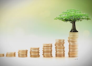 الوقف الخيري في إفريقيا بين التاريخ والآثار والتنمية الحضارية والوضع القانوني