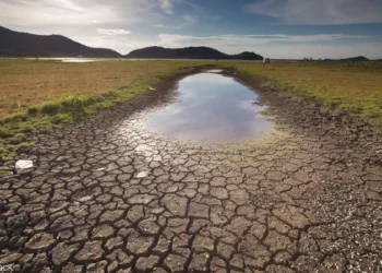 التغيُّرات المناخية وتداعياتها على انعدام الأمن الغذائي في إفريقيا جنوب الصحراء