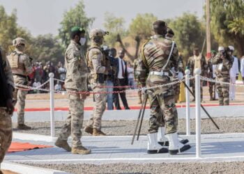 جيش مالي يوجه ضربة موجعة لتنظيم “داعش” على الحدود مع النيجر