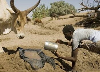 الشح المائي: إفريقيا تحت الضغط المناخي