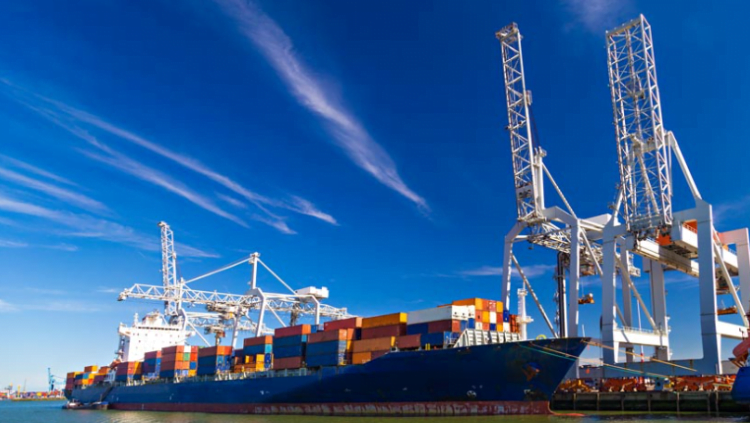 منطقة التجارة الحرة القارية الإفريقية: معالجة تحديات الخدمات اللوجستية وبناء سلاسل قيمة مستقبلية