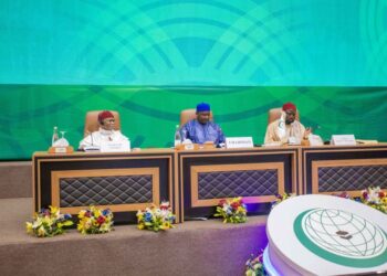 في بيانها الختامي.. قمة التعاون الإسلامي بغامبيا تدعو لمعاقبة إسرائيل وإنهاء التطبيع