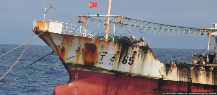 اتهامات “خطيرة” ضد أساطيل الصيد الصينية قبالة شرق إفريقيا